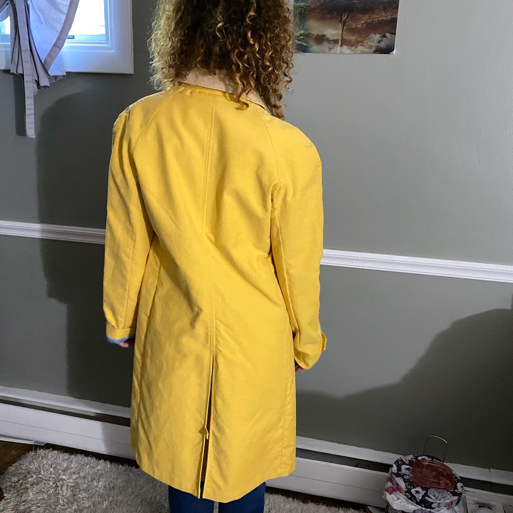 Yellow jacket - Picture 4 of 5